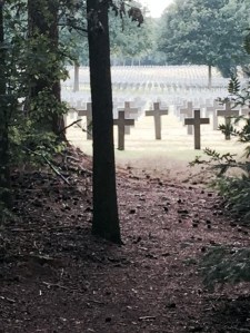 Bos Paardekop IJsselsteyn