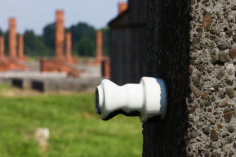 leegte van auschwitz 1