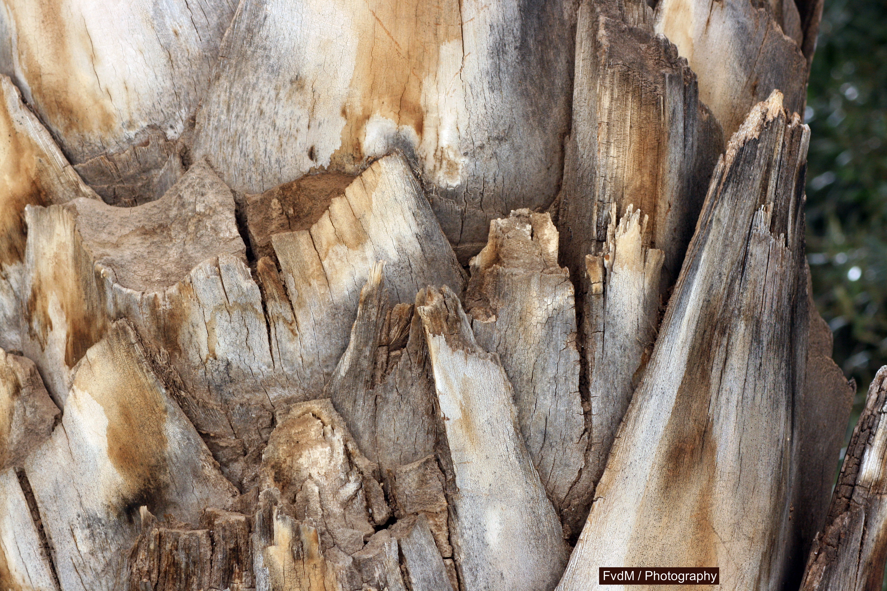 0043 - 31-01-2018 - Marrakesj Bahia Paleis