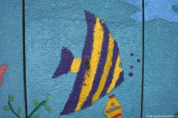 electriciteitshuisje04