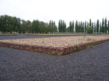 Neuengamme 6