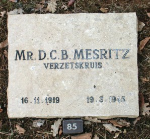 Denis Mesritz 2