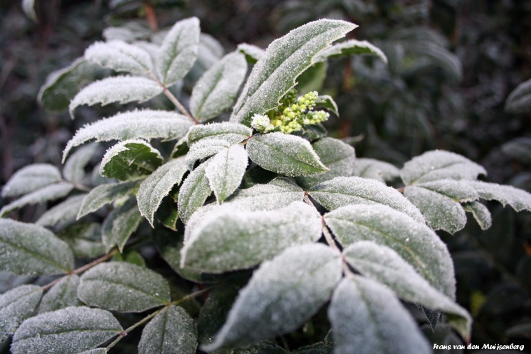 002 - Stevenskerk kooromgang-1zw