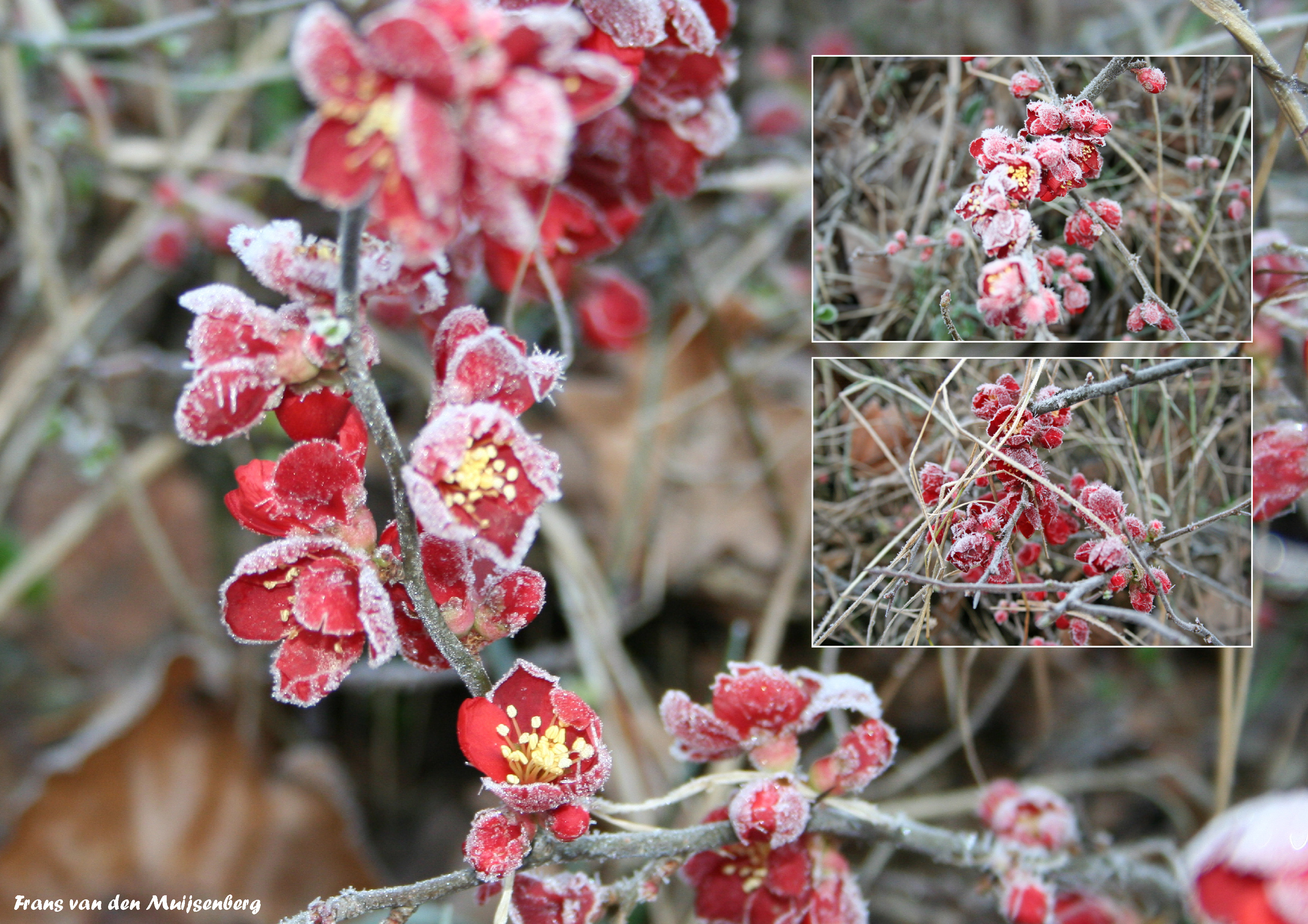 002 - Stevenskerk kooromgang-1zw