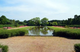 08 - Goffertpark - Rosarium