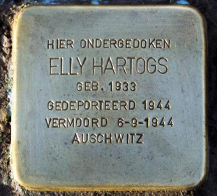 elly_hartogs