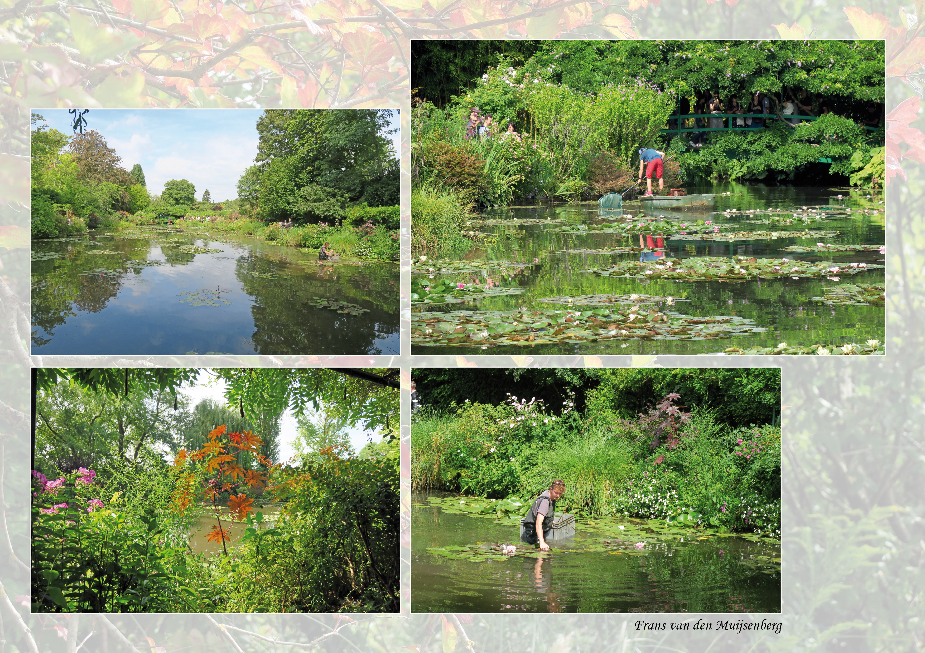 01 - 16 augustus Monet