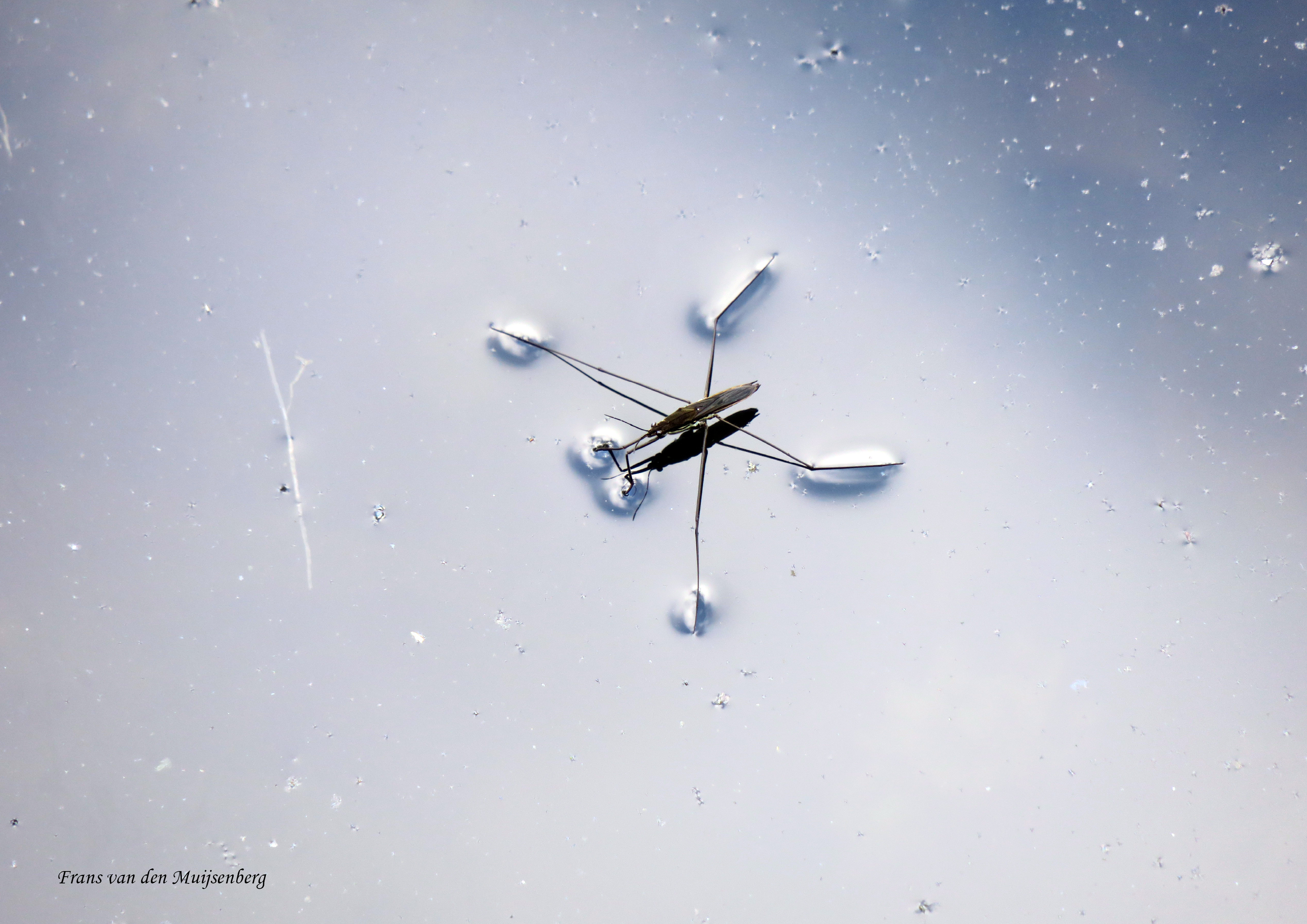 01 - 16 augustus Monet