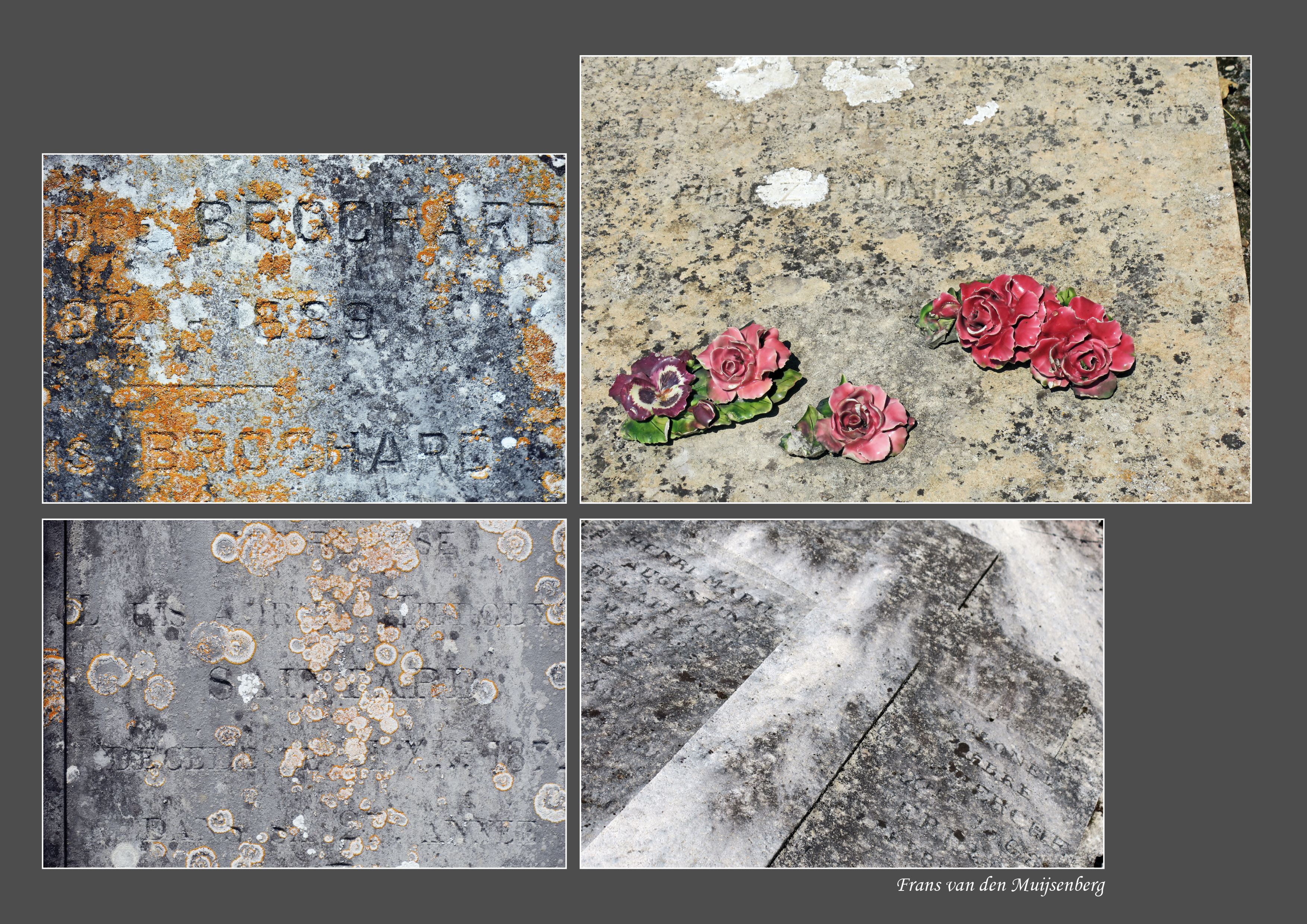 01 - 16 augustus Monet