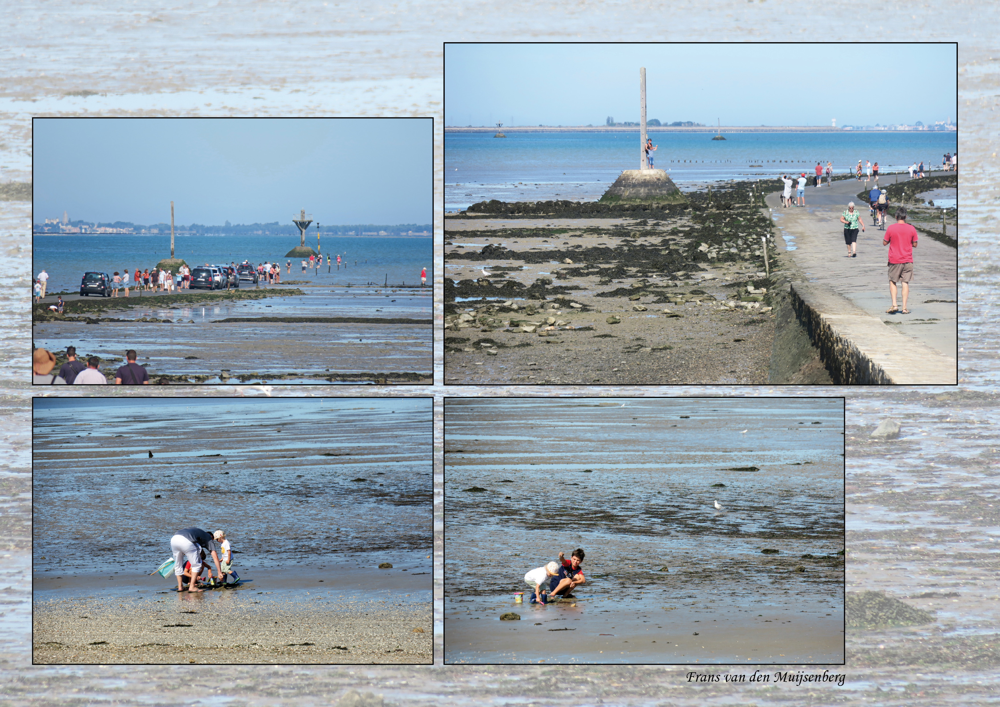 01 - 16 augustus Monet