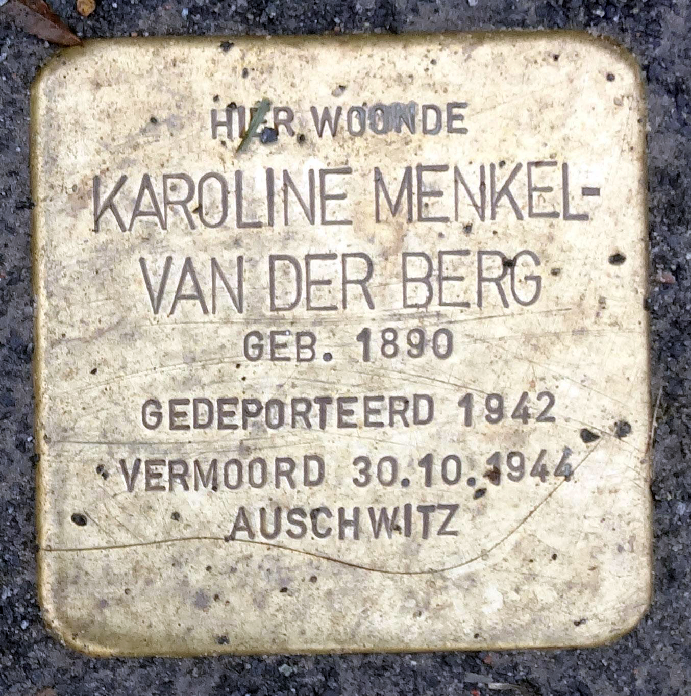 14 - Carolina van der Berg