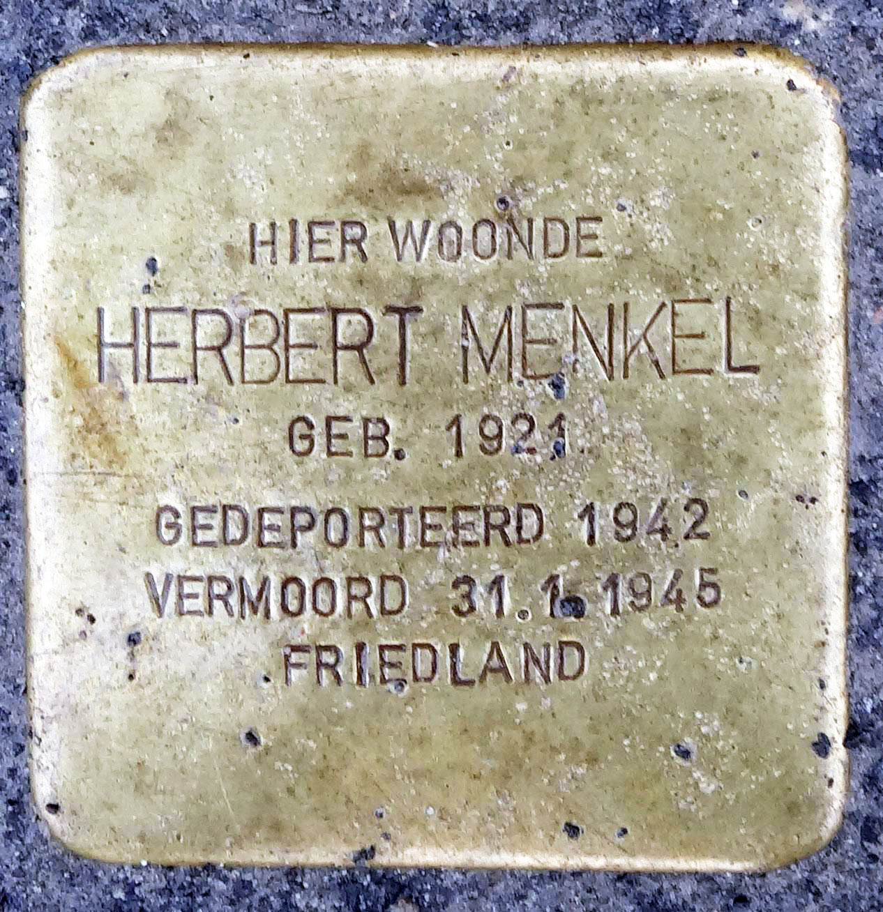 15 - Herbert Mendel