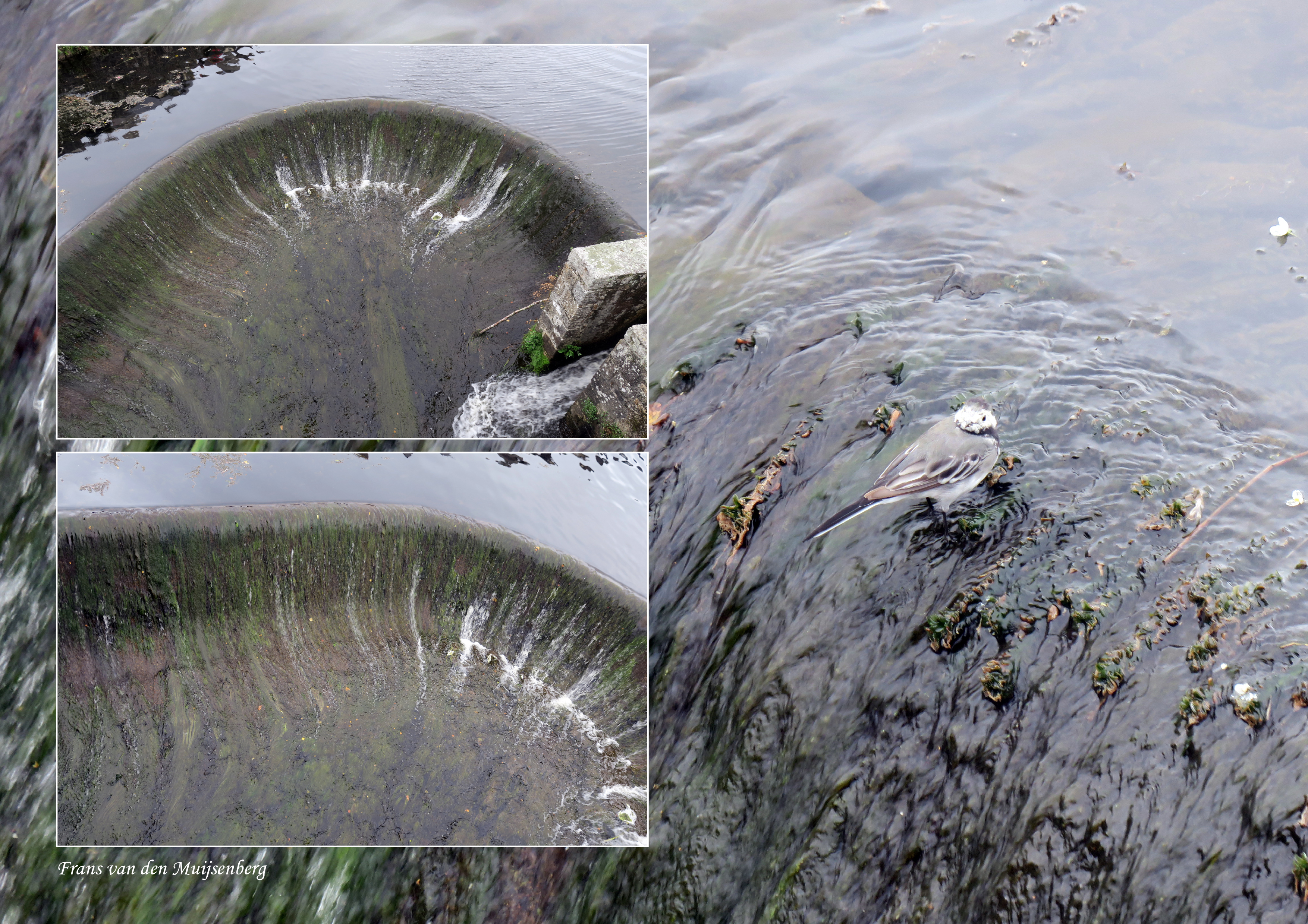 01 - 16 augustus Monet