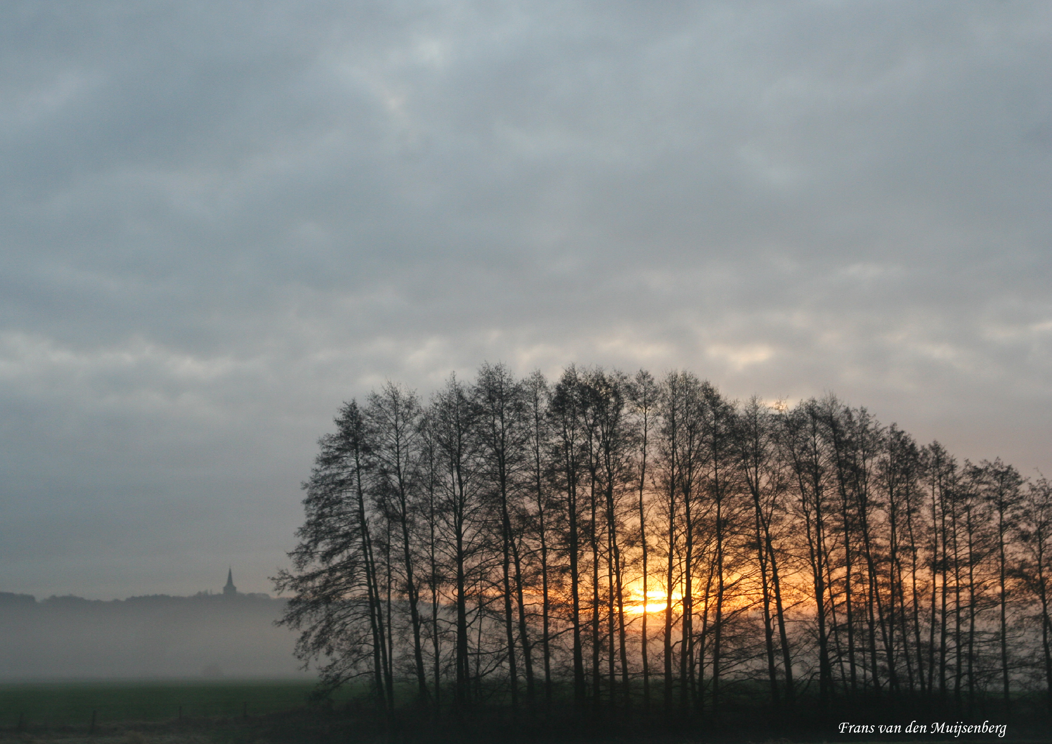 Elten in de avondzon 1