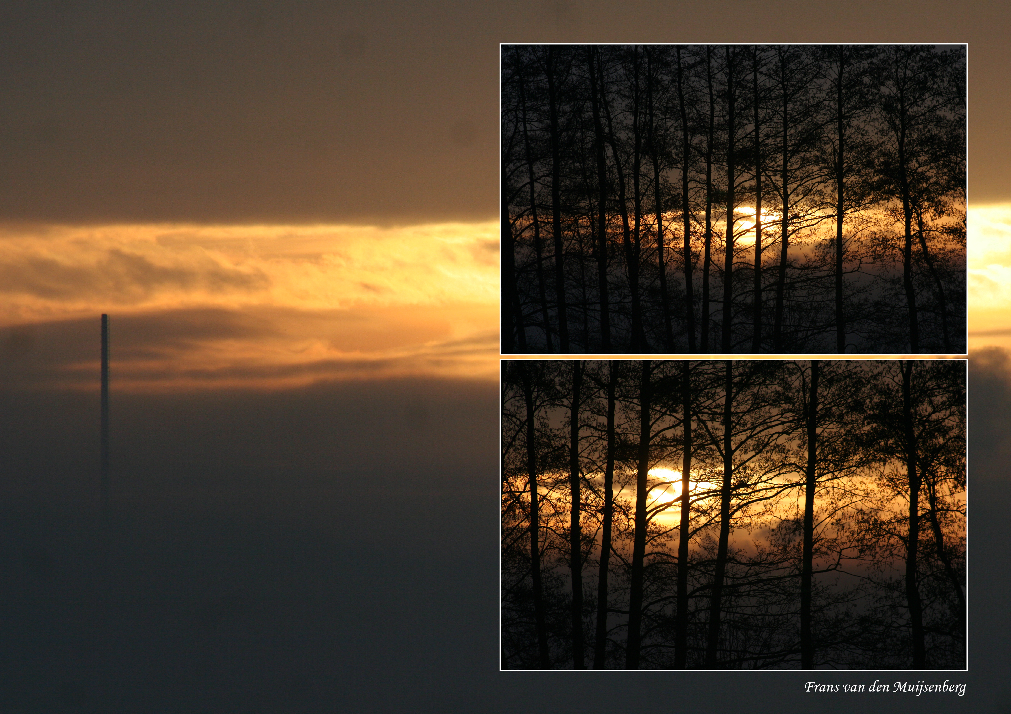 Elten in de avondzon 1