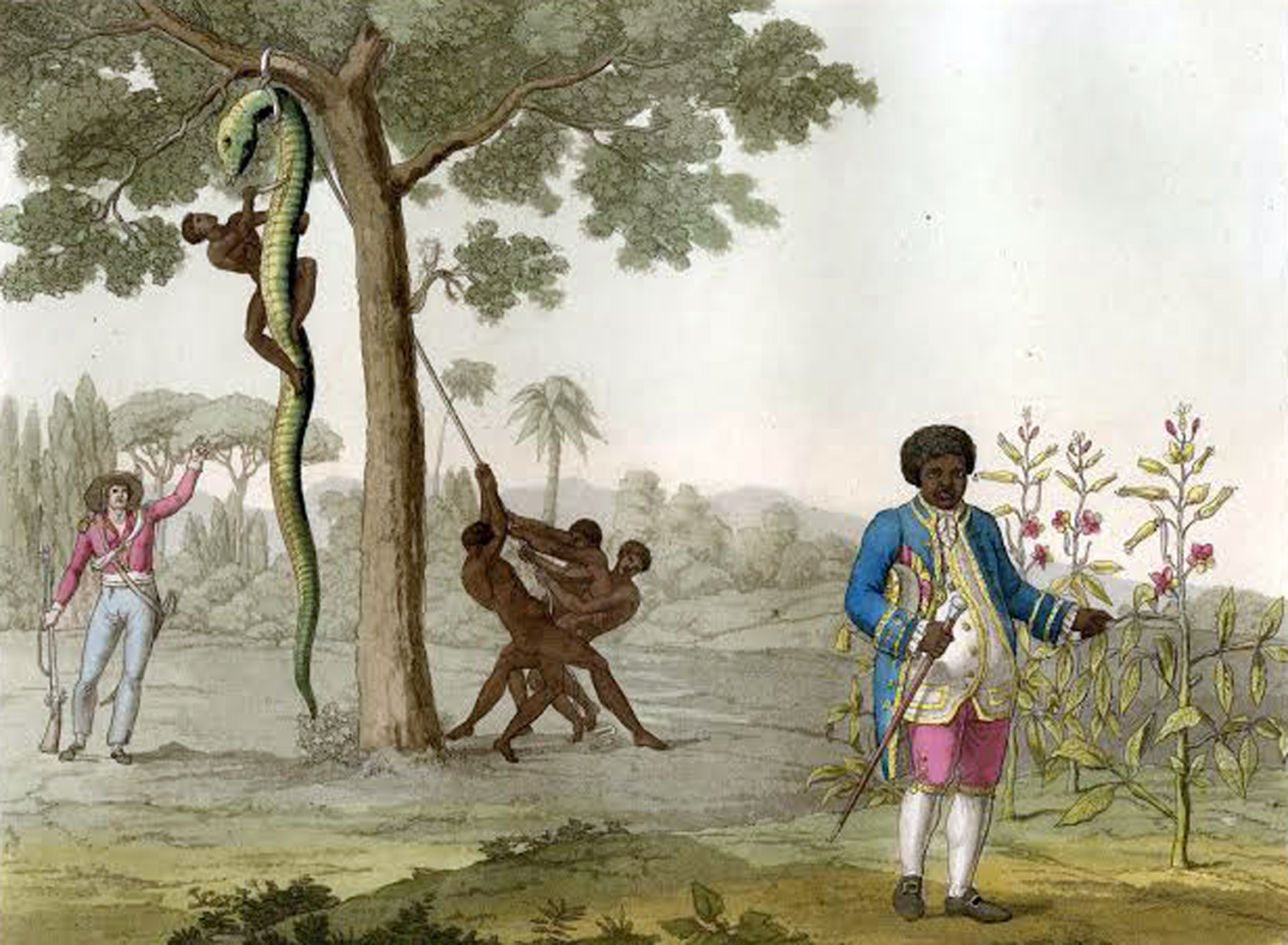 Quassie van Timotibo 2