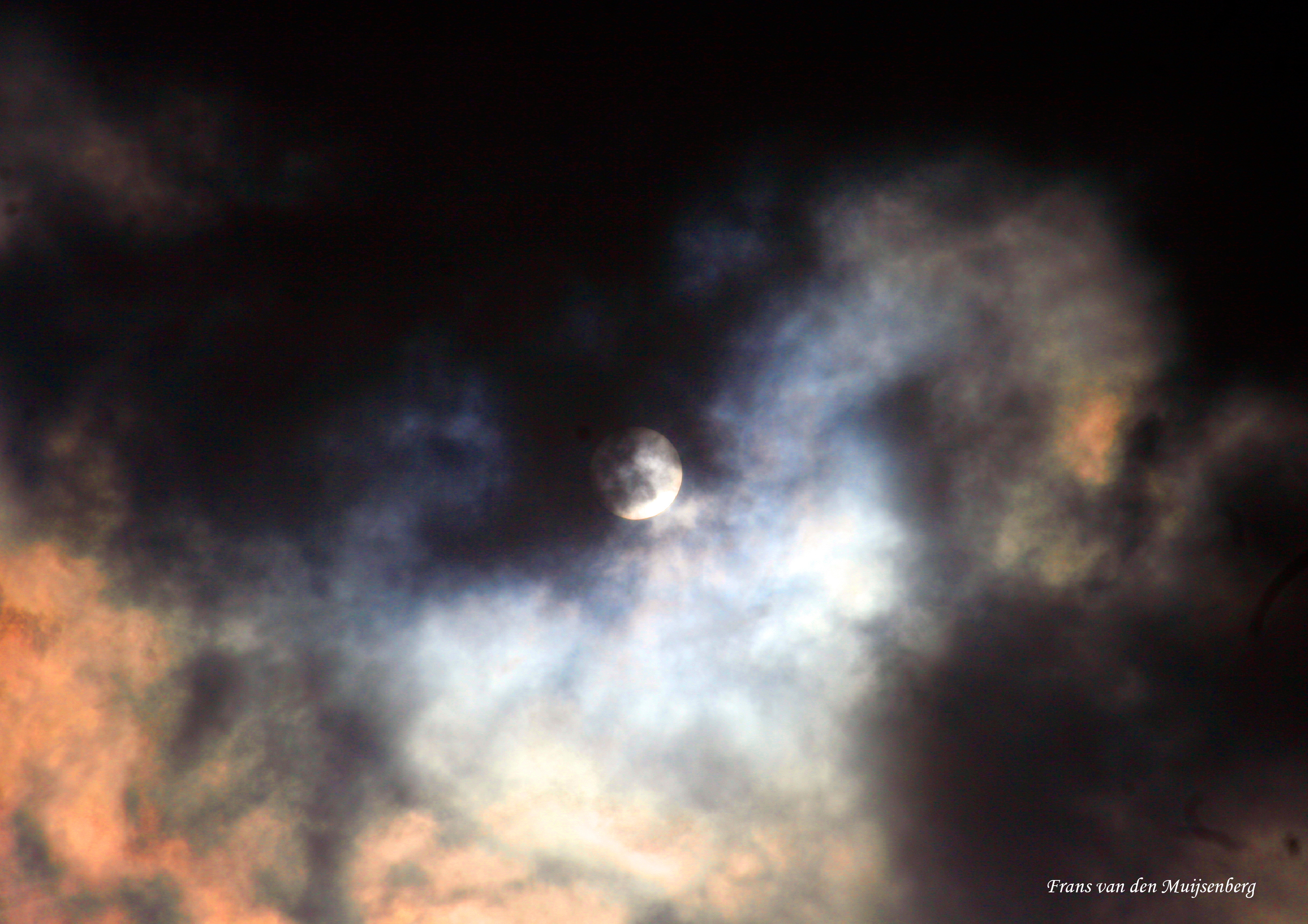 Wandeling Schokland 002