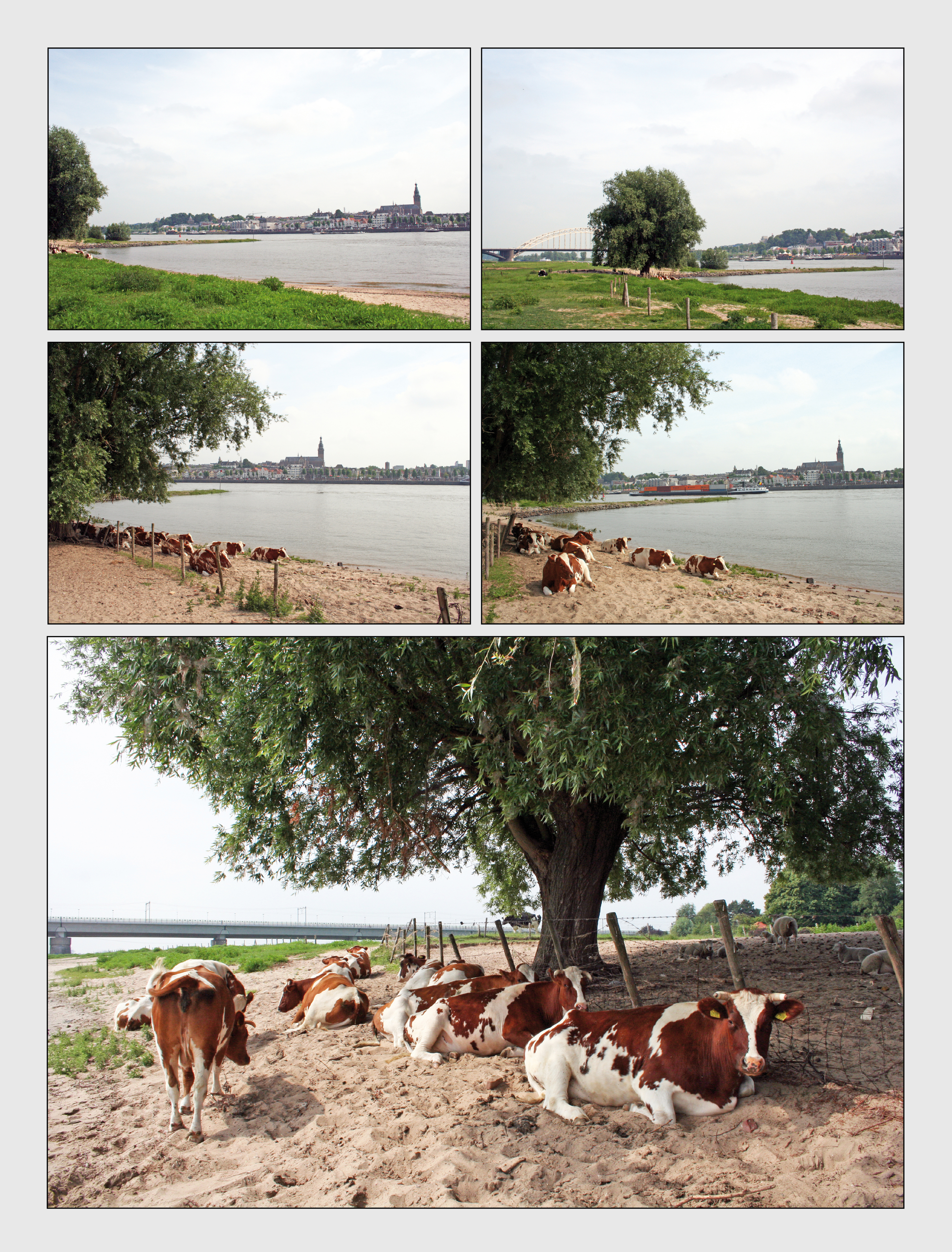 De Waal en het Lentse strand 1