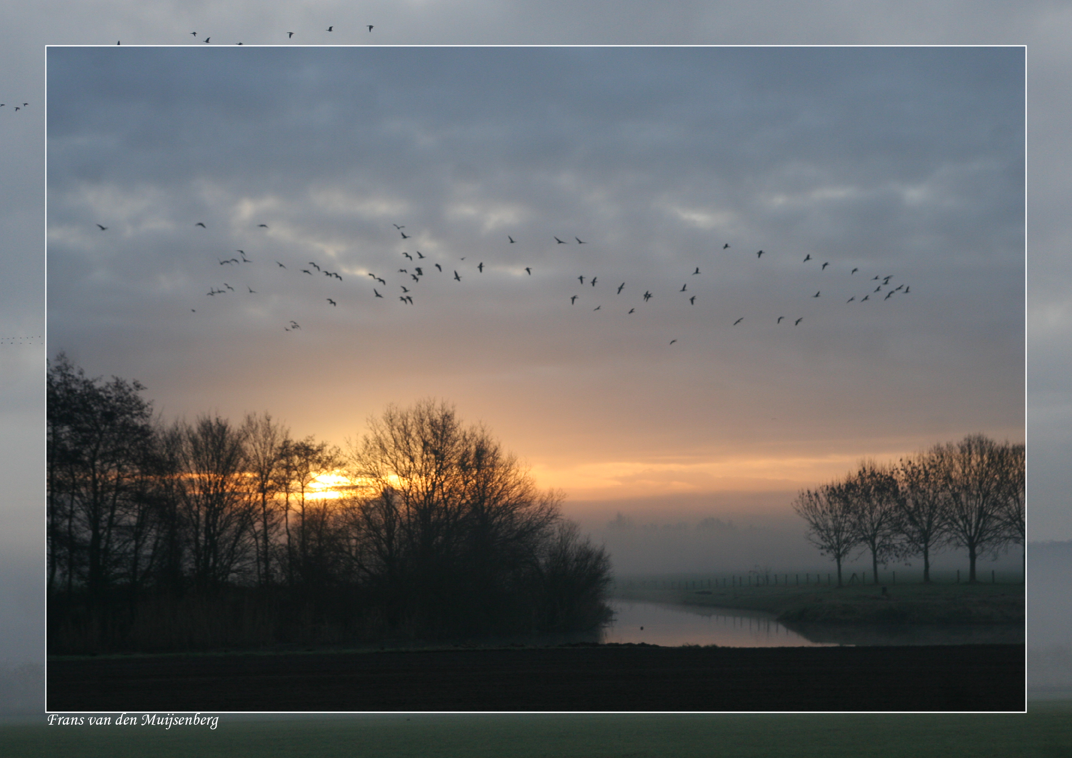 Elten in de avondzon 1