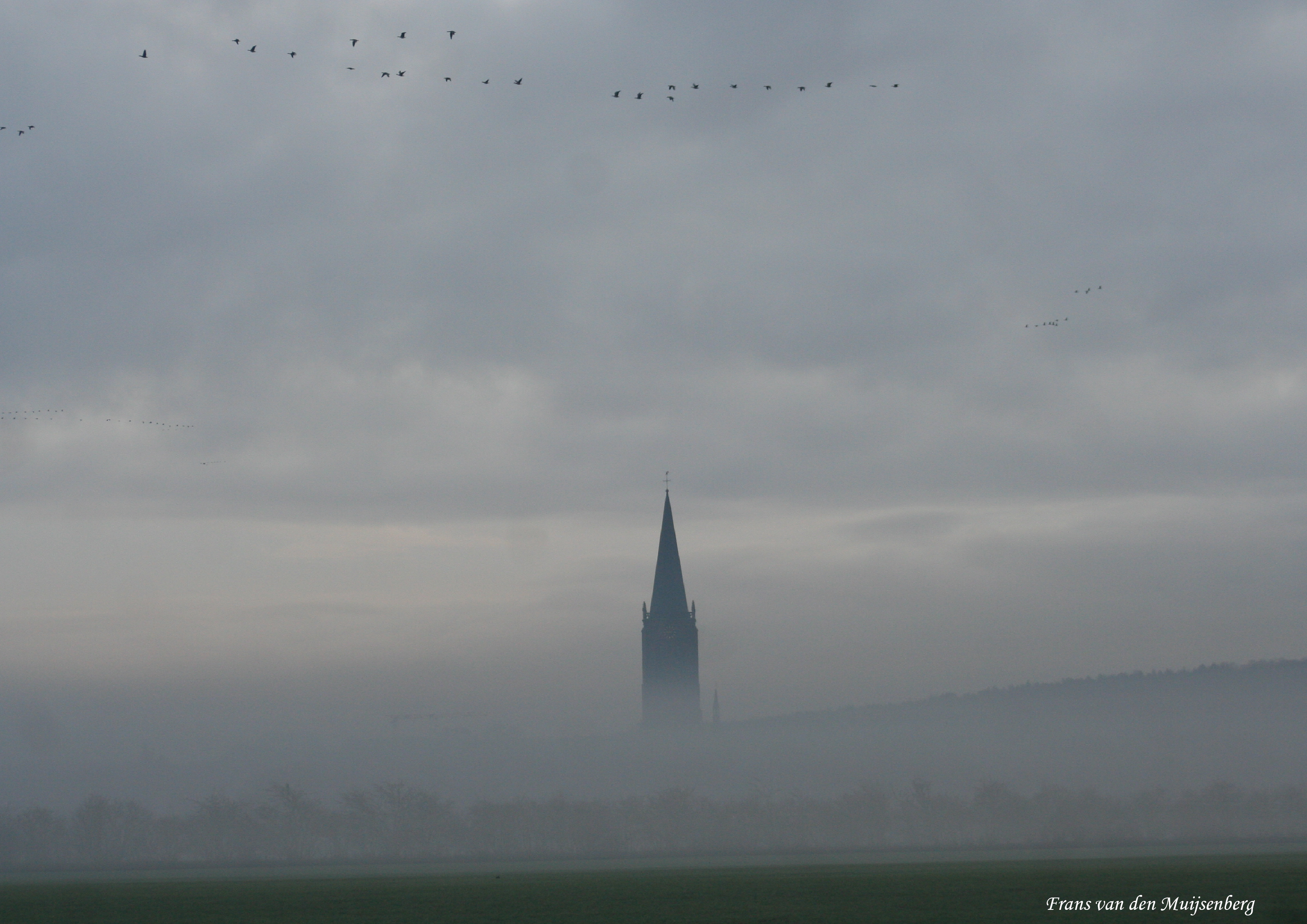 Elten in de avondzon 1