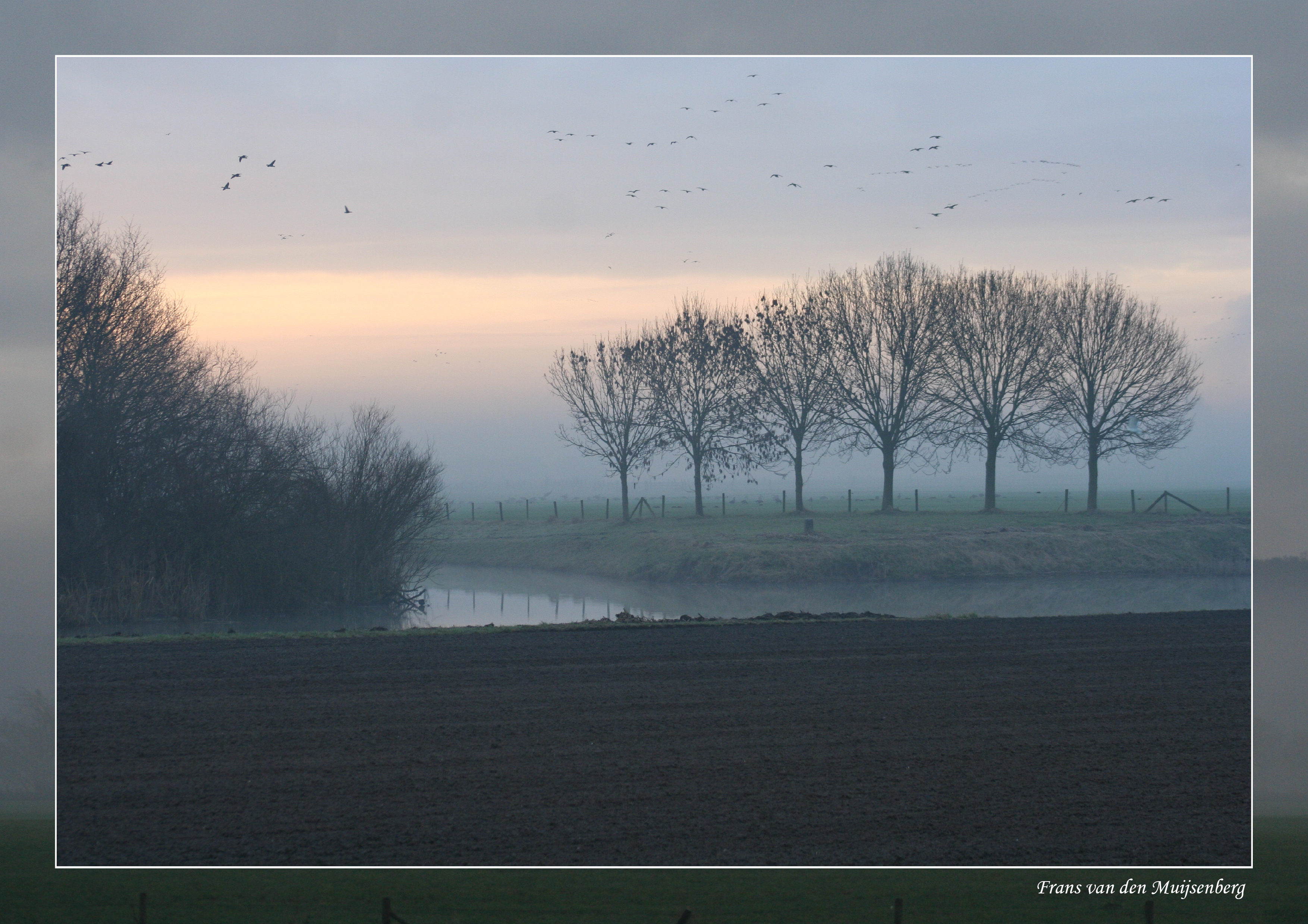 Elten in de avondzon 1